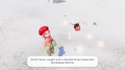 FIFA赛事所罗门群岛对保加利亚前瞻