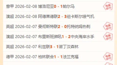 大乐透期号专家推荐：柔佛新山质合分析前区十码精选